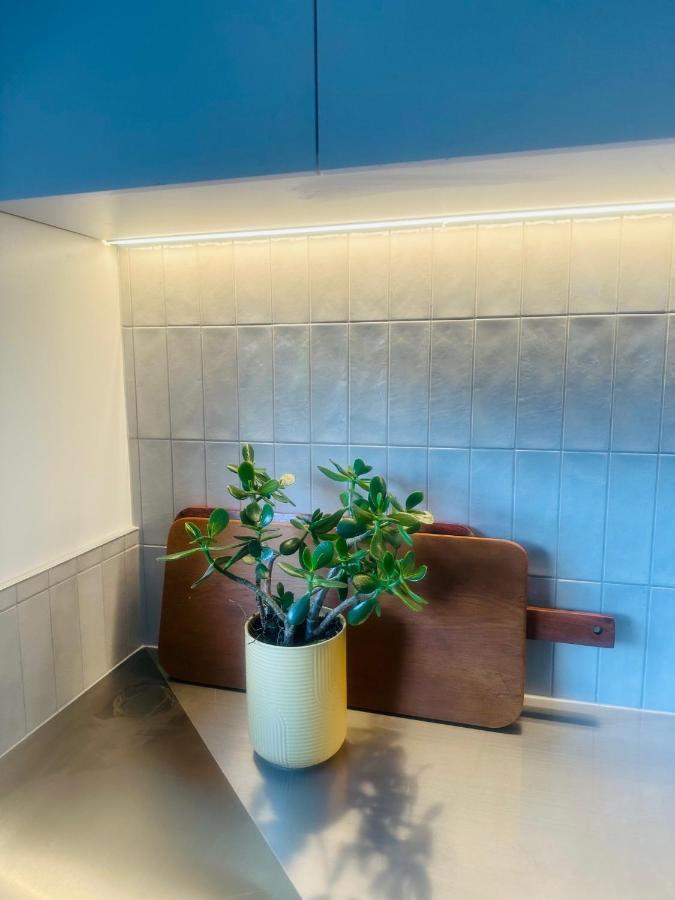 クライストチャーチ 2 Bed Beckenham Beauty - Pet Friendlyヴィラ エクステリア 写真
